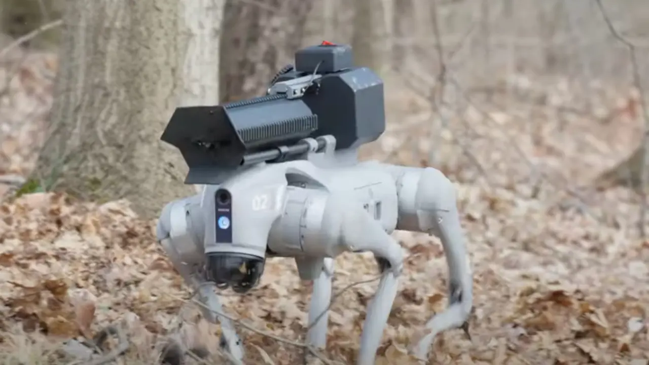 Robot pas