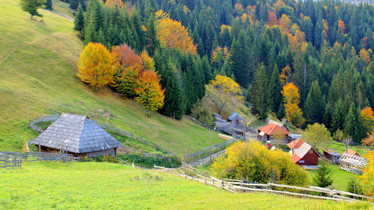 Golija