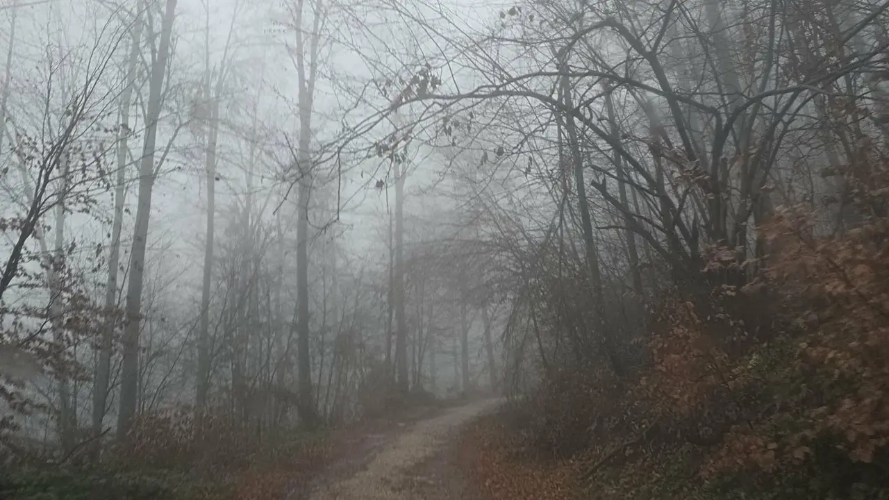 Planina