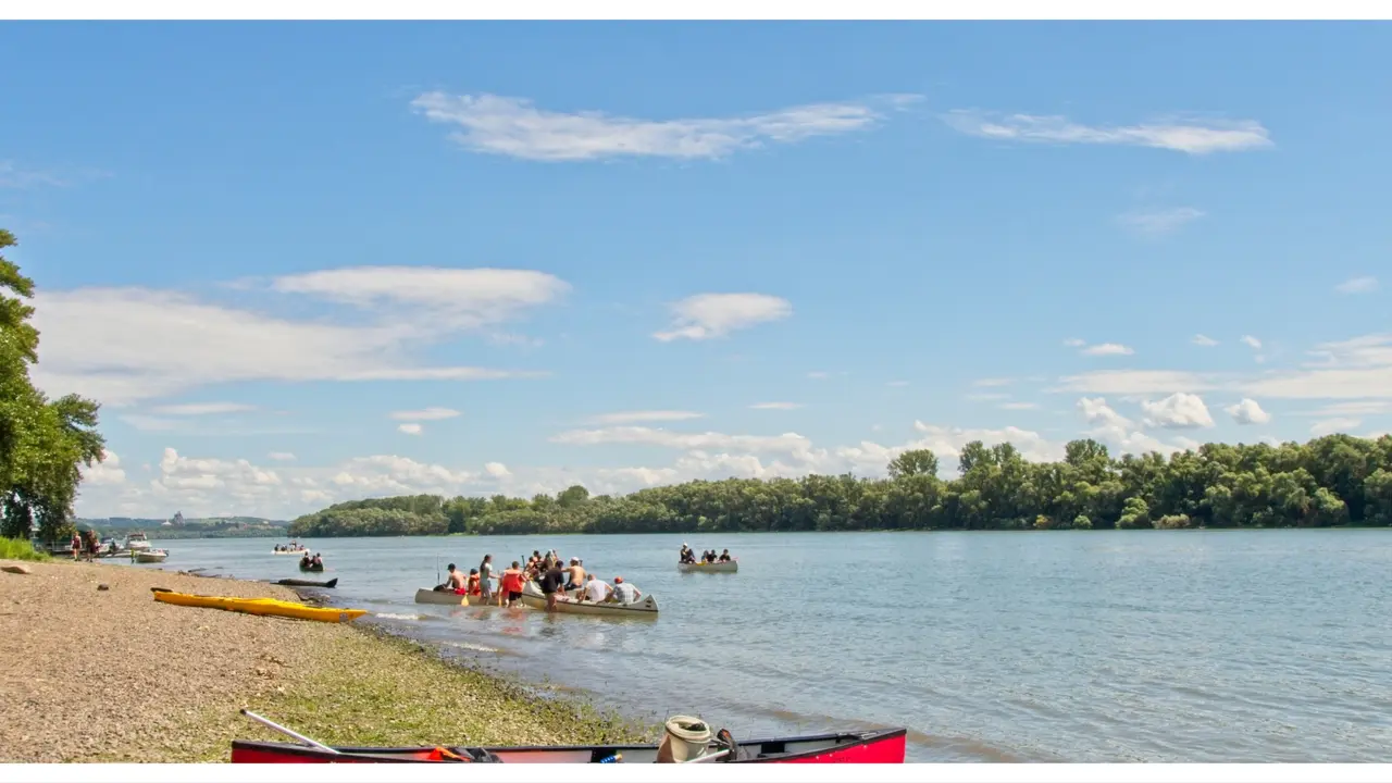 Dunav
