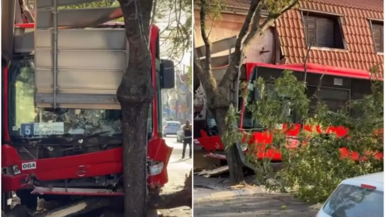 Autobus