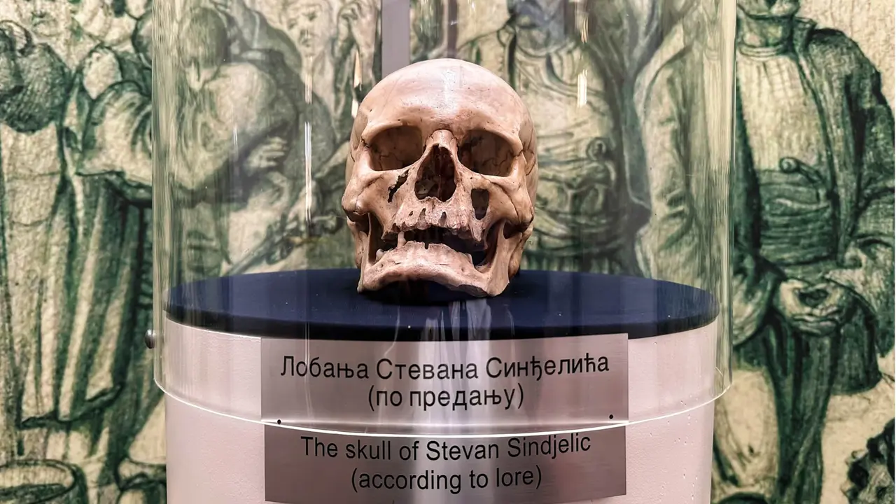 Lobanja Stevana Sinđelića