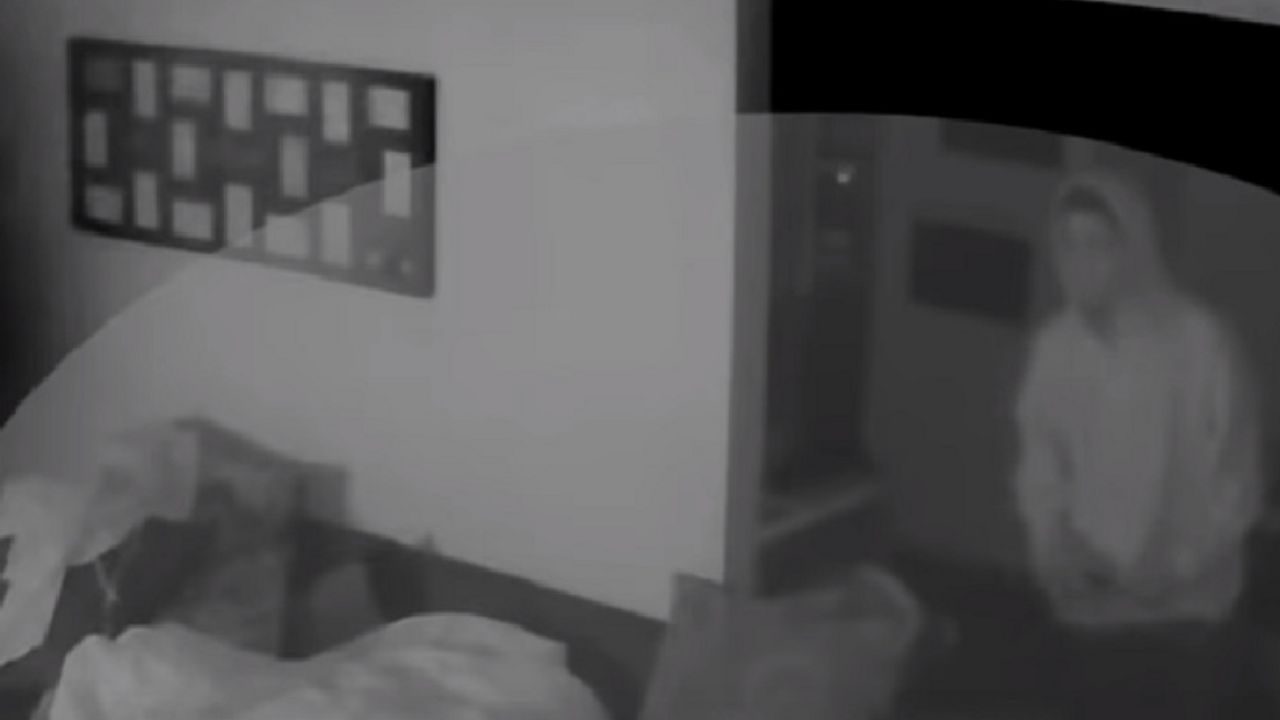 Uljez