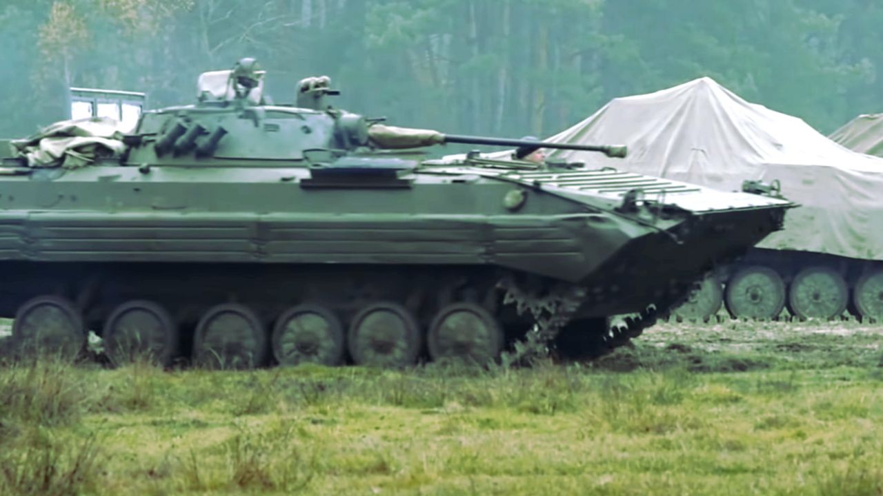 BMP