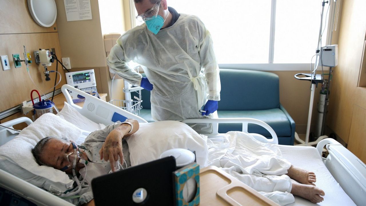 Korona virus
