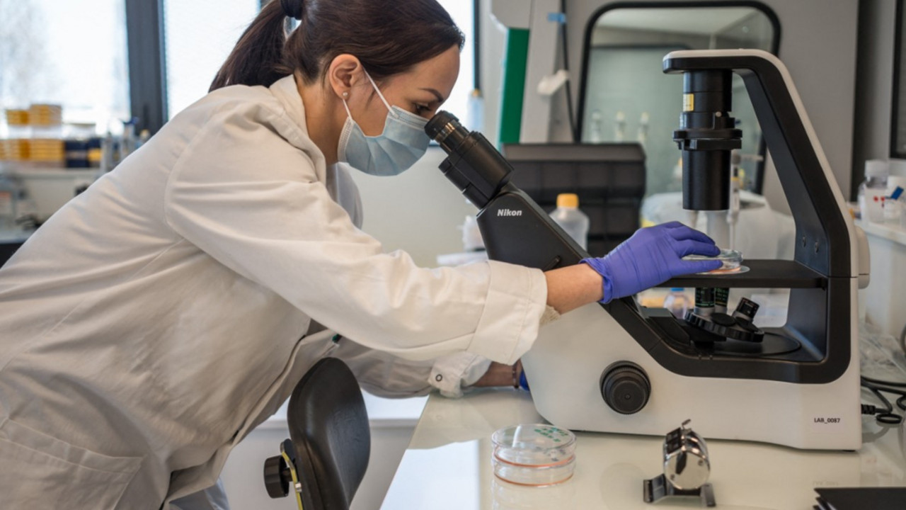 Laboratorija