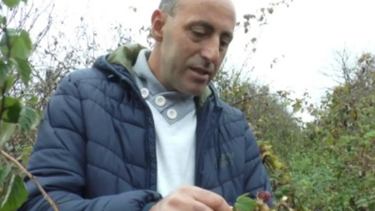 Srpsko "Crveno zlato"