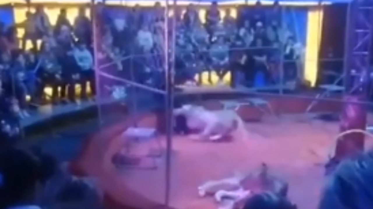 cirkus Rusija