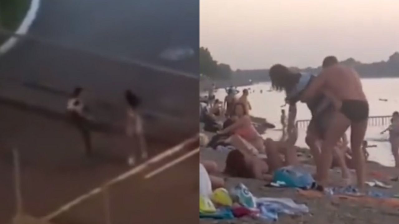 nasilje