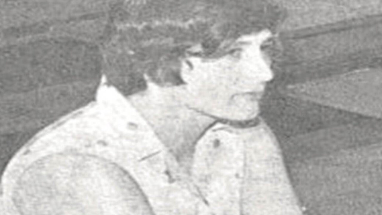 šefka hodžić