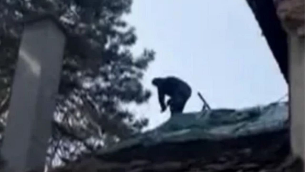 komšija uništava krov