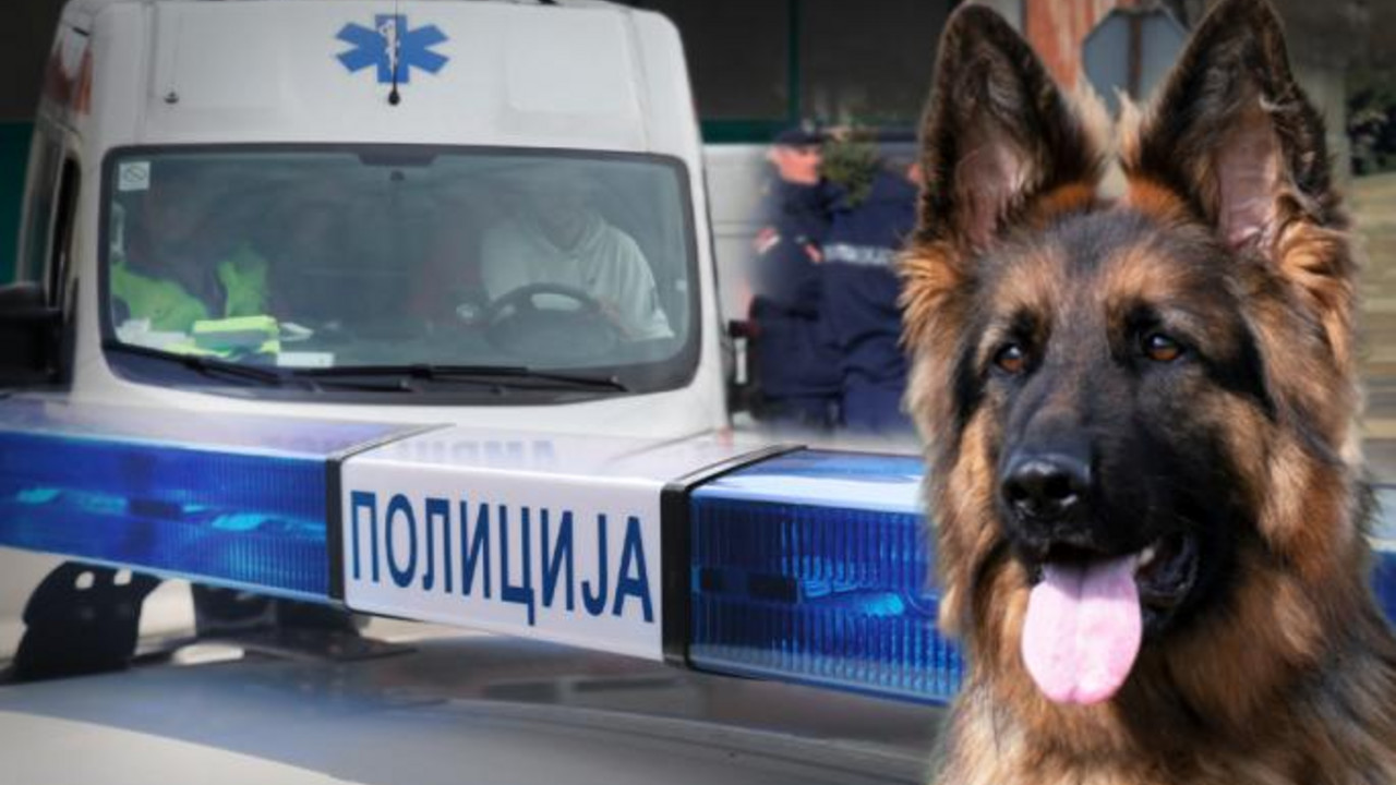 Foto: Srbija Danas/Shutterstock