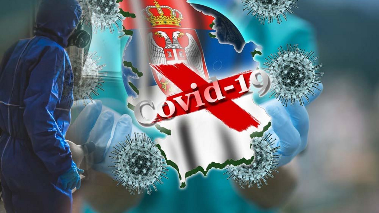kovid