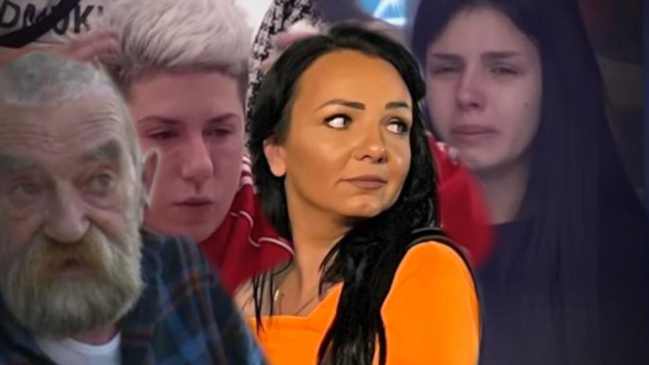 Jovana Tomić Matora, Hranislav Tomić, Anita Stanojlović, Angelina