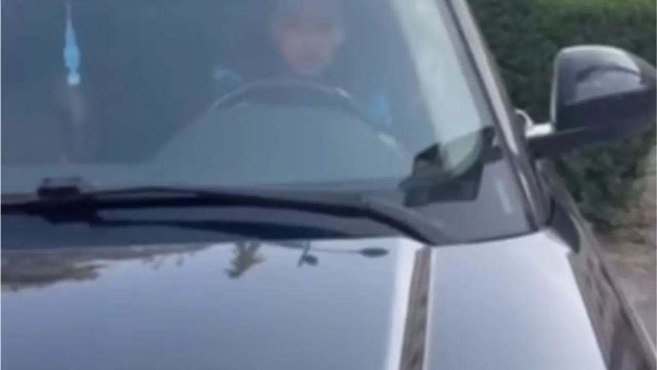 lopov iz Novog Sada